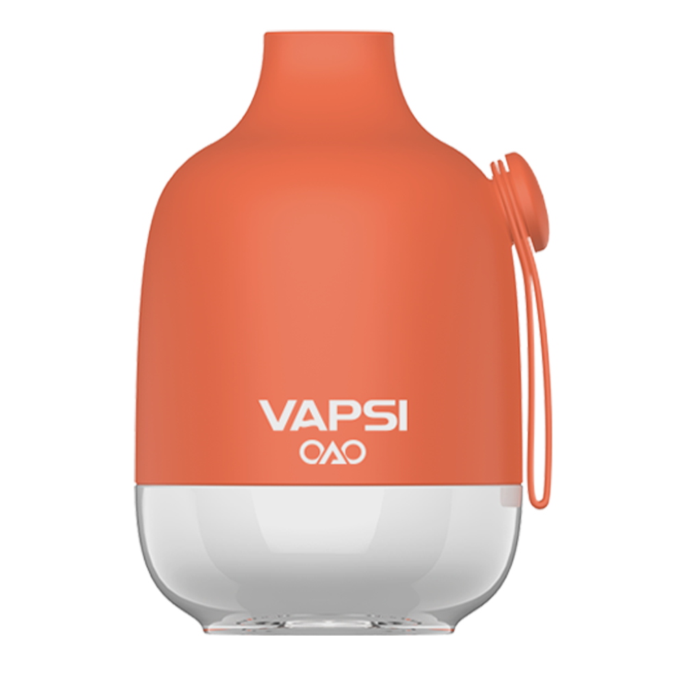 Vapsi OAO Disposable 6000 Puffs 12mL Peach Mango Watermelon