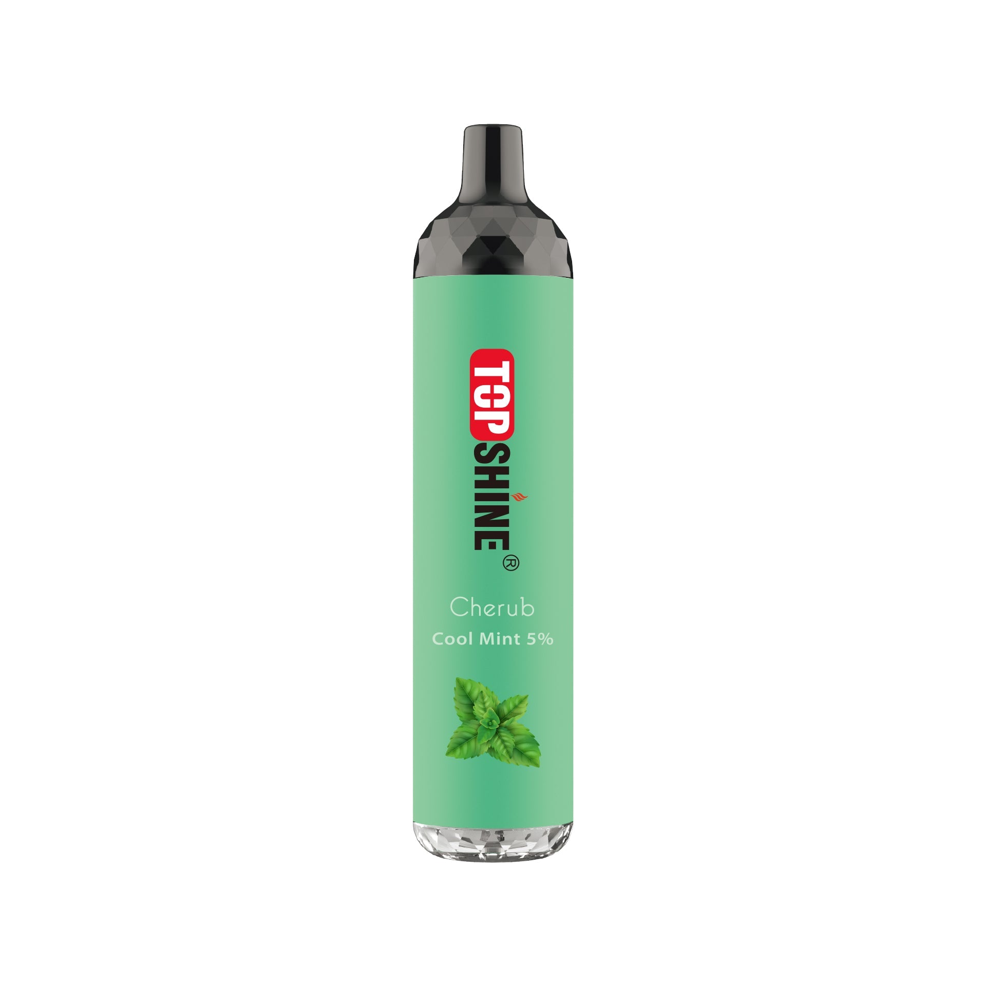 Topshine Disposable | 4500 Puffs | 10mL | cool mint