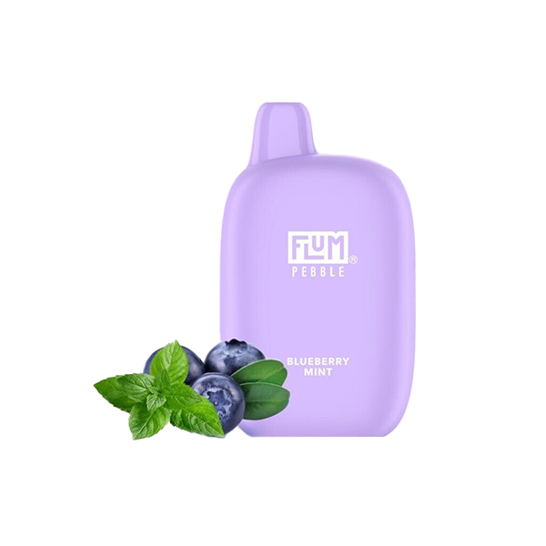 Flum Pebble Disposable | 6000 Puffs | 14mL Blueberry Mint