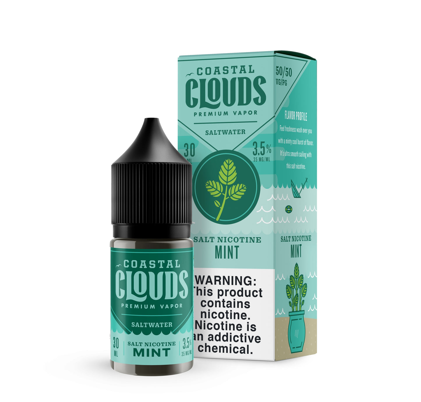 Saltwater Menthol by Coastal Clouds Salt Series 30mL with Packaging