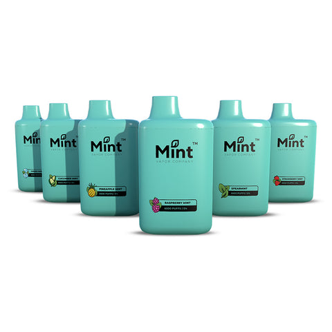 Mint Series Disposable 6500 Puffs 16mL 50mg group photo