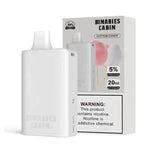 HorizonTech - Binaries Cabin Disposable | 10,000 puffs | 20mL cotton candy with packaging