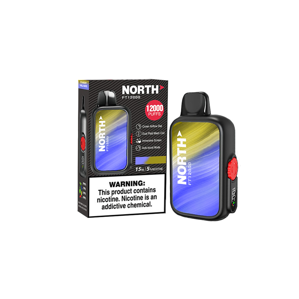 North FT12000 Disposable 12000 Puffs 15mL 50mg | Blueberry Lemon with packaging