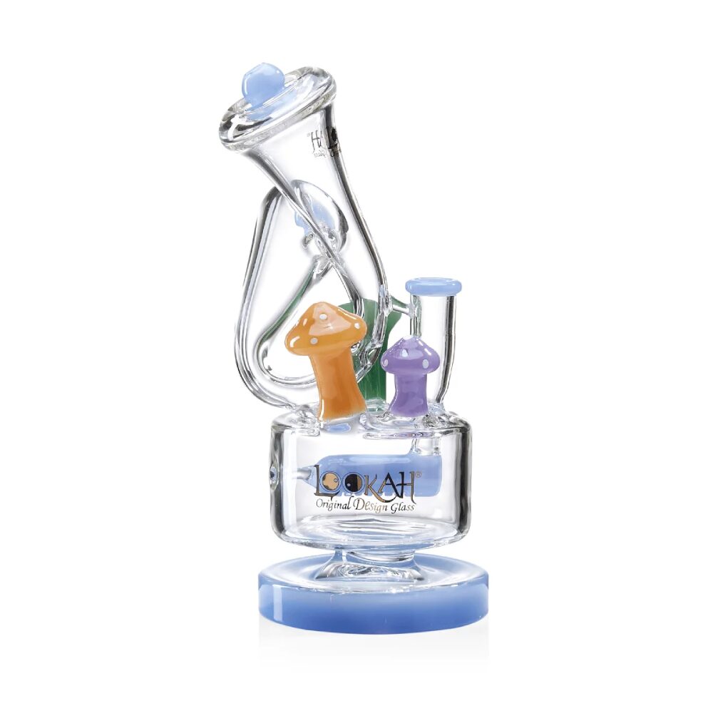 Lookah (Dab Rig) 9” Cute Recycler Fairy Mushroom Water Pipe (WPC1019) - blue