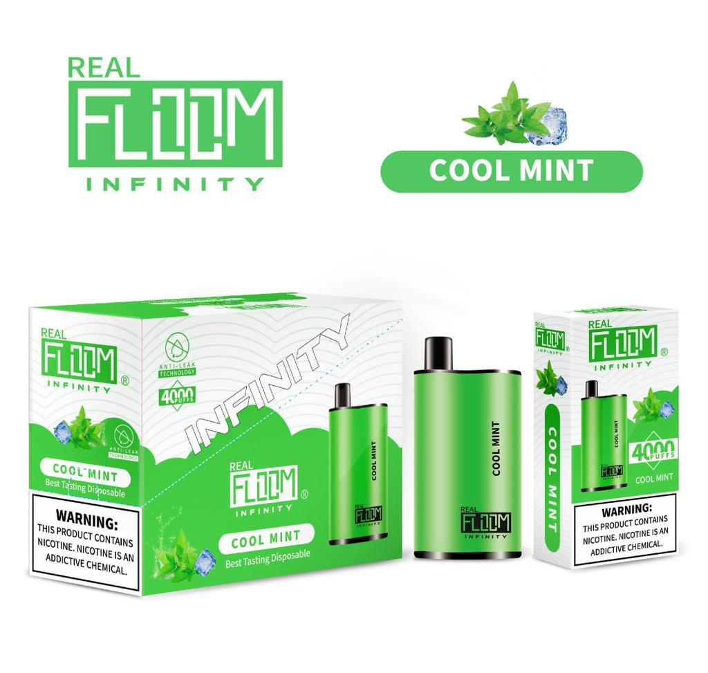 Floom Infinity Disposable | 4000 Puffs | 10mL cool mint with packaging