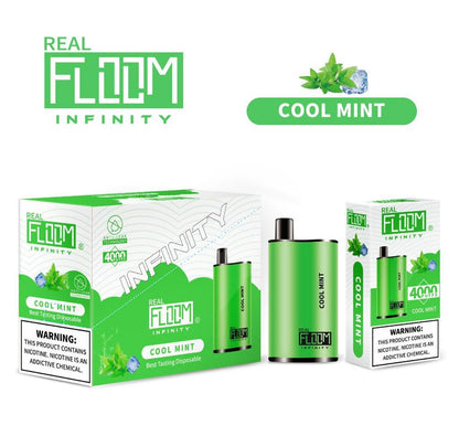 Floom Infinity Disposable | 4000 Puffs | 10mL cool mint with packaging