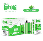 Floom Infinity Disposable | 4000 Puffs | 10mL cool mint with packaging