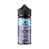 ARCTIC | Blizzard Blue 100ML eLiquid Bottle