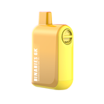 HorizonTech - Binaries Cabin Disposable | 6000 puffs | 15mL Strawberry Cheese Cake