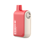 HorizonTech - Binaries Cabin Disposable | 6000 puffs | 15mL Watermelon Ice