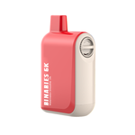 HorizonTech - Binaries Cabin Disposable | 6000 puffs | 15mL Watermelon Smoothie